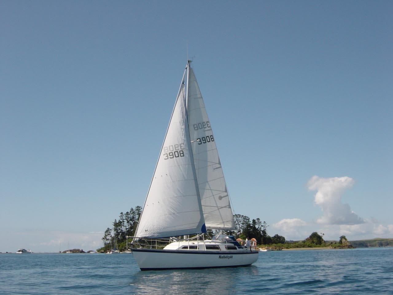 Hauraki Gulf Sailing Trip