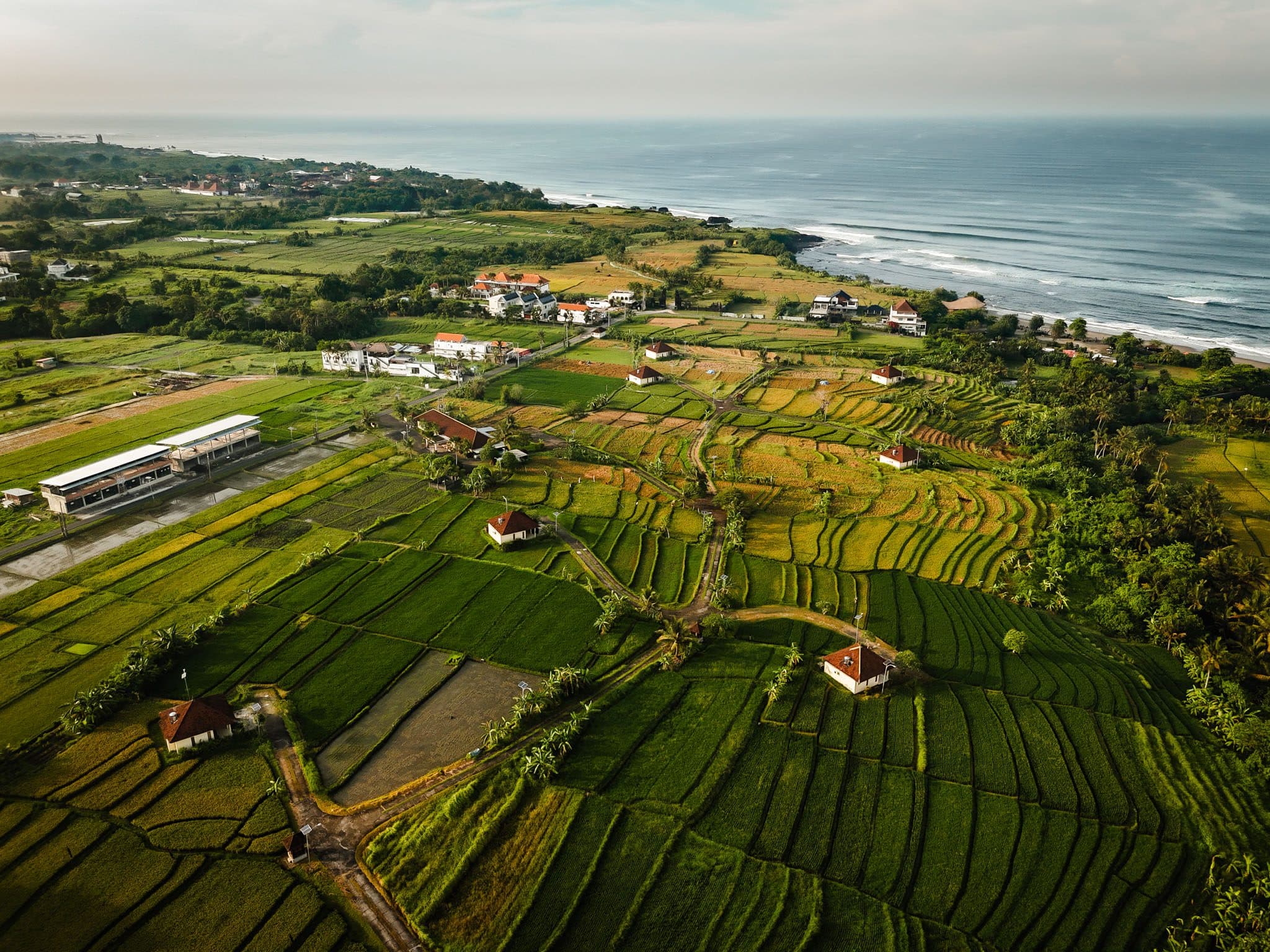 Terraced rice fields in Tabanan, Bali