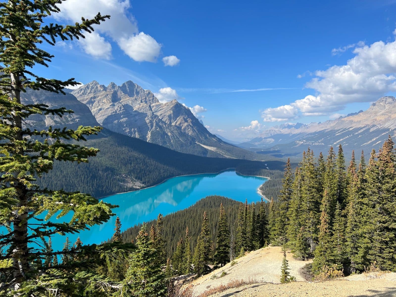 Turquoise water at Lake Louise in Banff National Park
