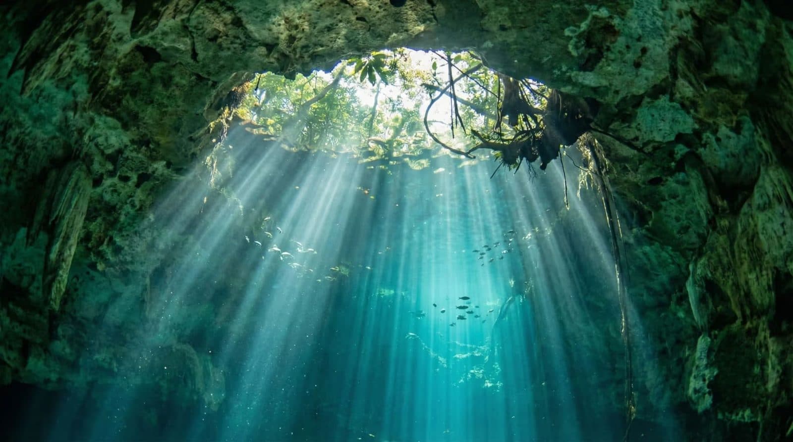 Cenote Swimming Tour