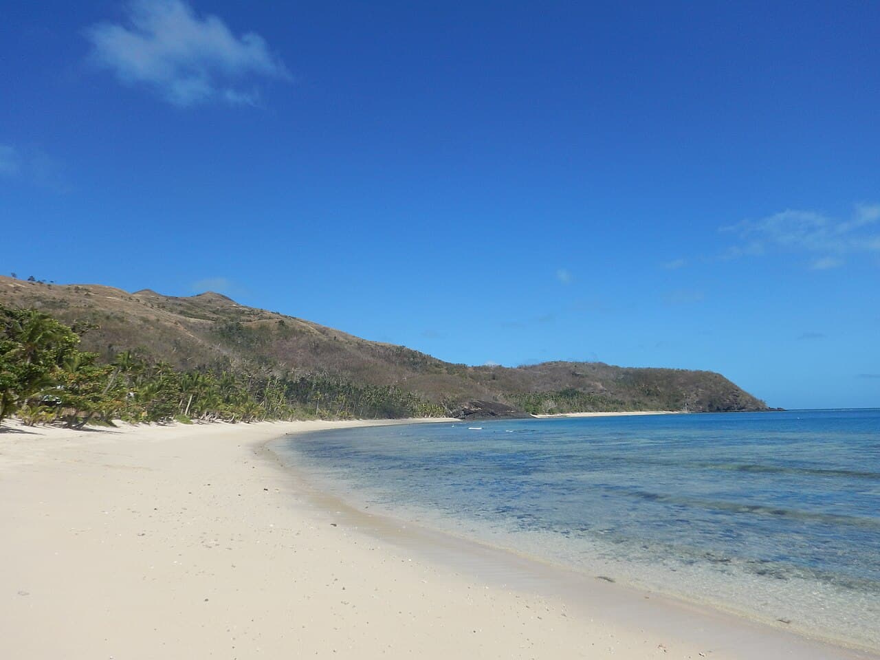 A palm-lined beach on Naviti Island in the Yasawa Islands, Fiji