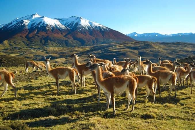 Patagonia without a guided tour