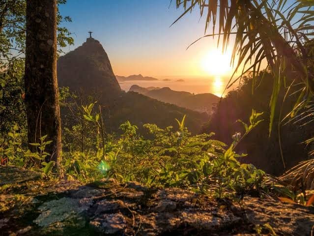 Tijuca Forest Hike