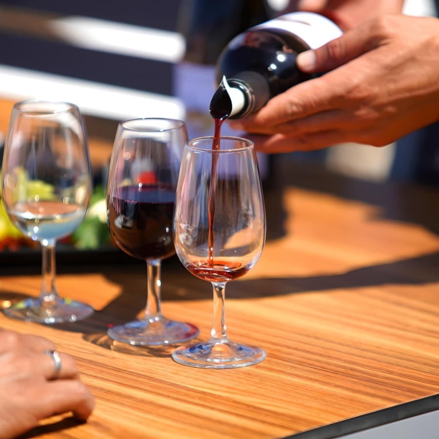 Volcanic Vineyard Wine Tasting