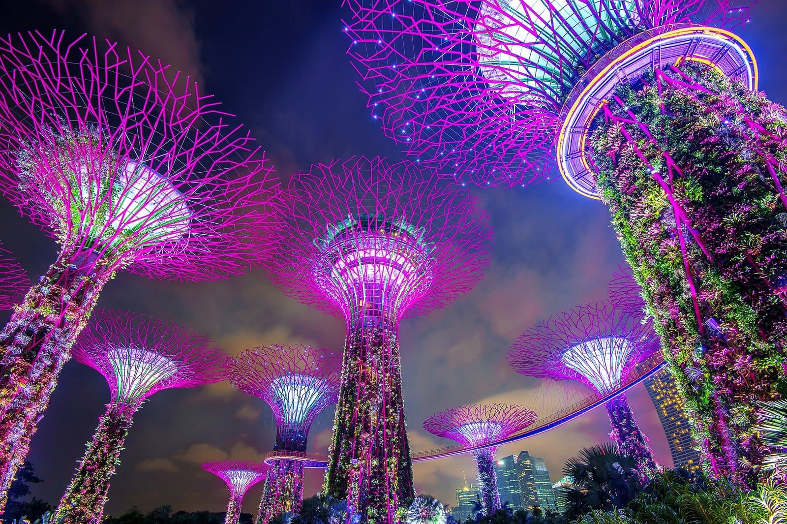 Gardens by the Bay After Dark