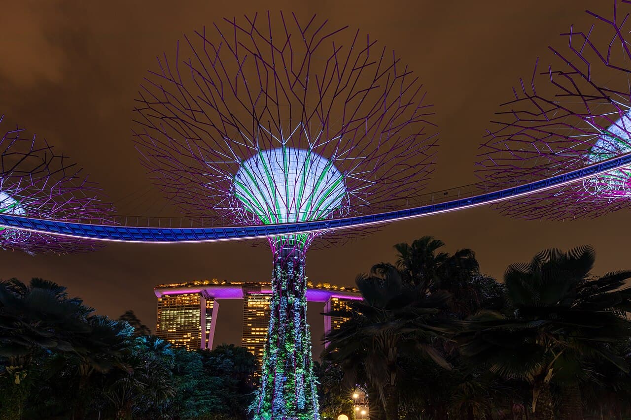 The illuminated Supertree Grove at Gardens by the Bay in Singapore