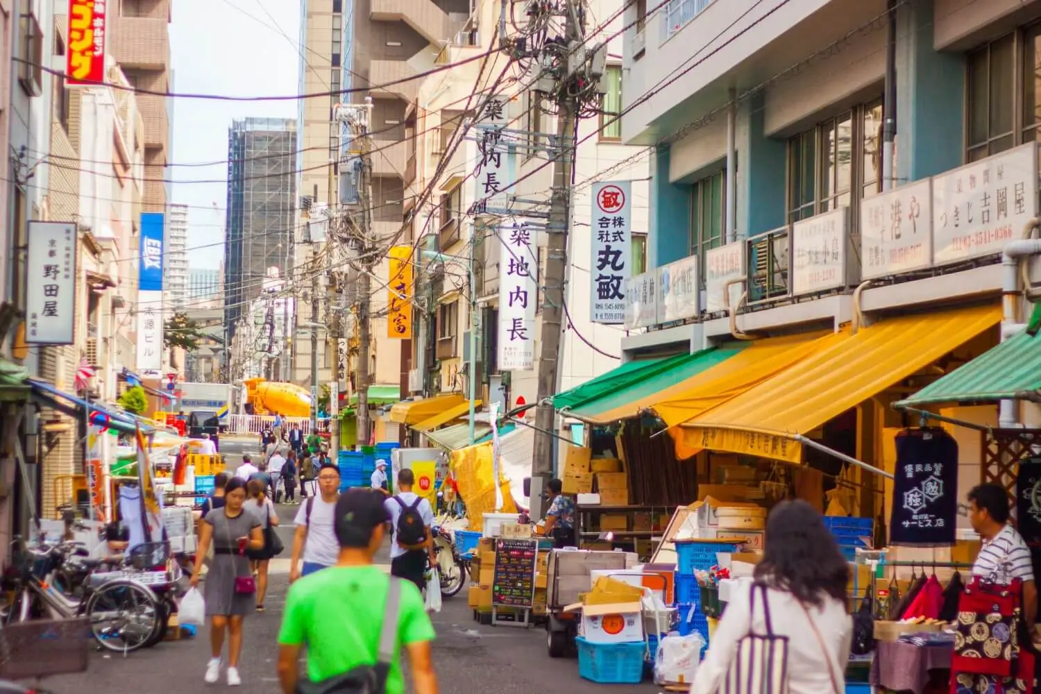 Tsukiji Outer Market Food Walk
